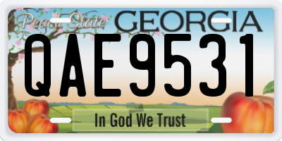 GA license plate QAE9531