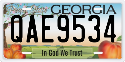 GA license plate QAE9534