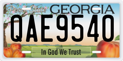 GA license plate QAE9540