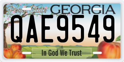 GA license plate QAE9549