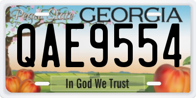 GA license plate QAE9554
