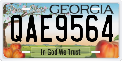 GA license plate QAE9564