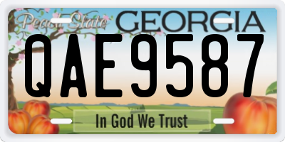 GA license plate QAE9587