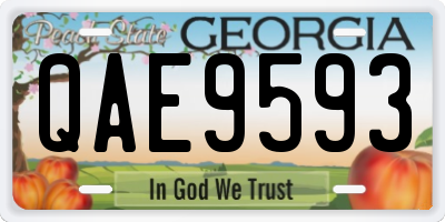 GA license plate QAE9593
