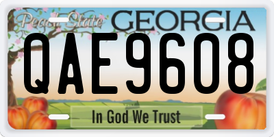 GA license plate QAE9608