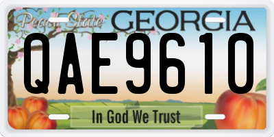 GA license plate QAE9610