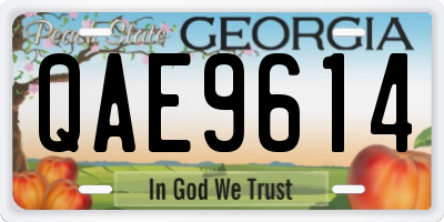 GA license plate QAE9614