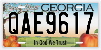 GA license plate QAE9617