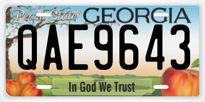 GA license plate QAE9643