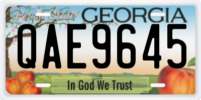 GA license plate QAE9645