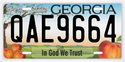 GA license plate QAE9664