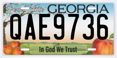 GA license plate QAE9736