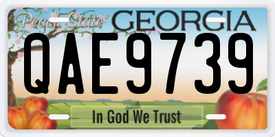 GA license plate QAE9739