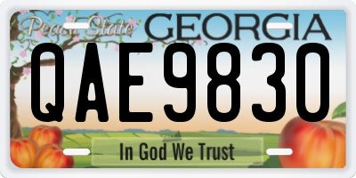 GA license plate QAE9830