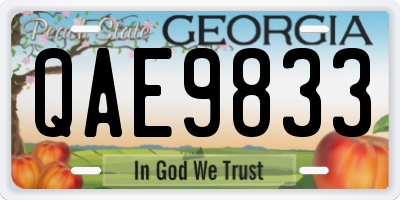 GA license plate QAE9833