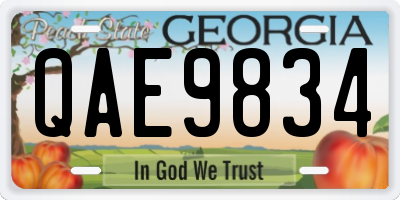 GA license plate QAE9834
