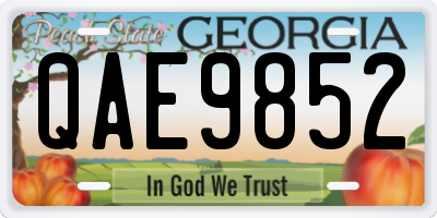 GA license plate QAE9852
