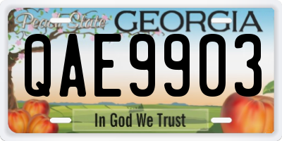 GA license plate QAE9903