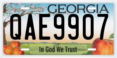 GA license plate QAE9907