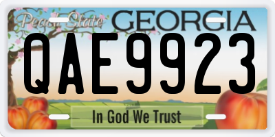 GA license plate QAE9923