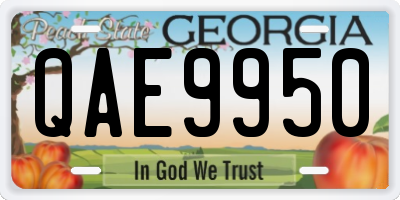 GA license plate QAE9950