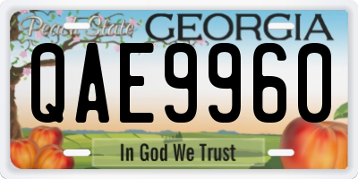 GA license plate QAE9960
