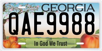 GA license plate QAE9988