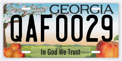 GA license plate QAF0029