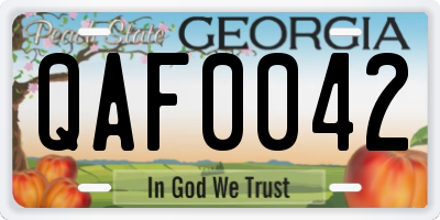 GA license plate QAF0042