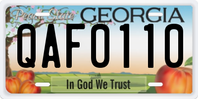 GA license plate QAF0110