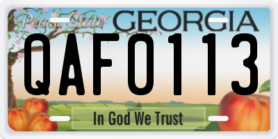 GA license plate QAF0113
