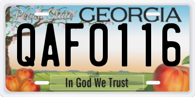 GA license plate QAF0116