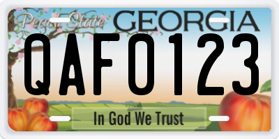 GA license plate QAF0123