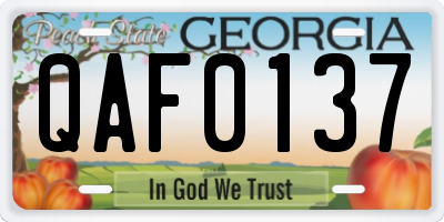 GA license plate QAF0137