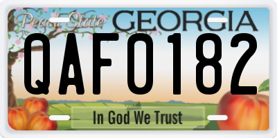 GA license plate QAF0182