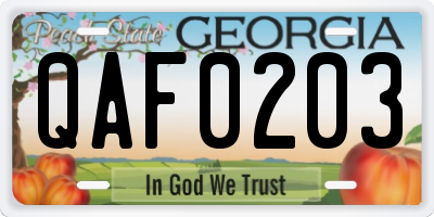 GA license plate QAF0203