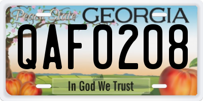GA license plate QAF0208