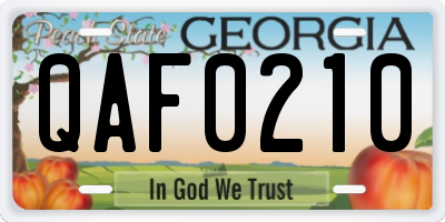 GA license plate QAF0210