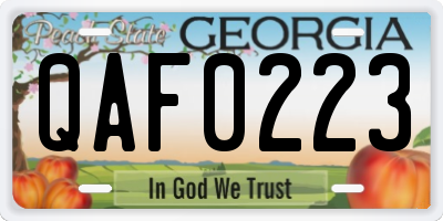 GA license plate QAF0223