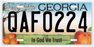 GA license plate QAF0224