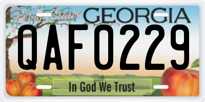 GA license plate QAF0229