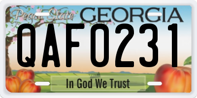 GA license plate QAF0231