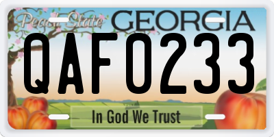 GA license plate QAF0233
