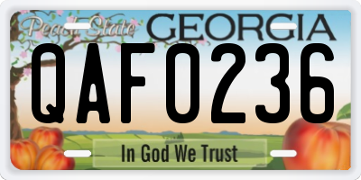 GA license plate QAF0236