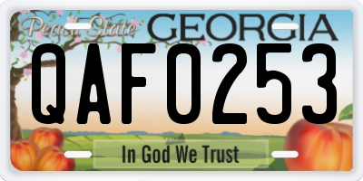 GA license plate QAF0253