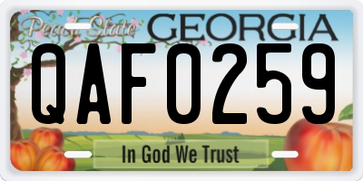 GA license plate QAF0259
