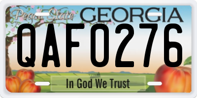 GA license plate QAF0276