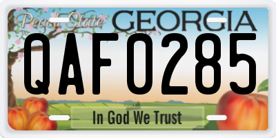 GA license plate QAF0285