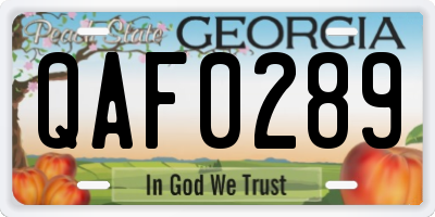 GA license plate QAF0289