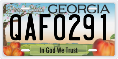 GA license plate QAF0291